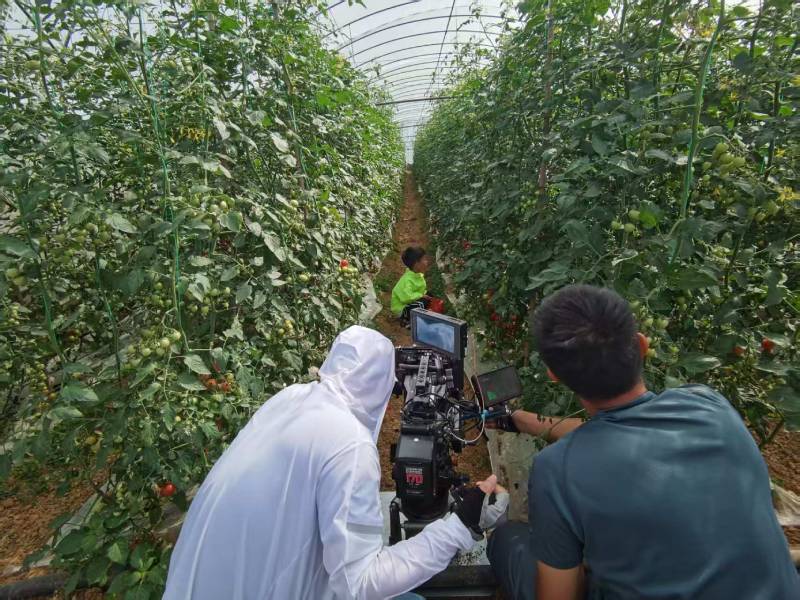 进贤县产品宣传视频拍摄公司进阶指南，助力品牌抢占传播高地